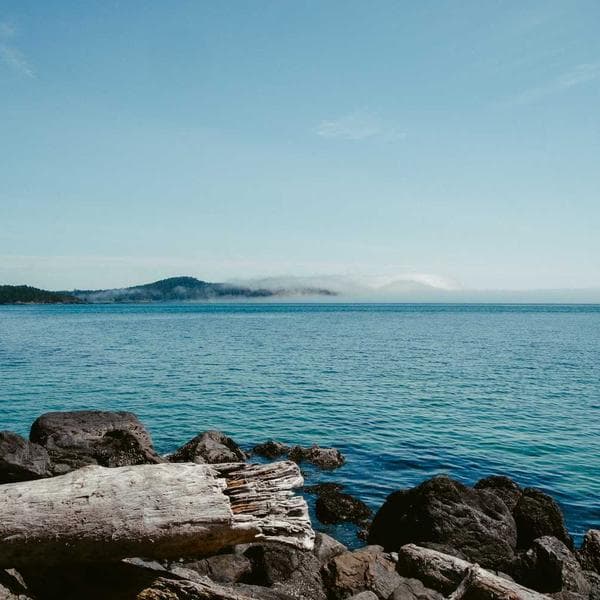 Căn hộ 85m² - Modern Luxury - Phòng ngủ 2