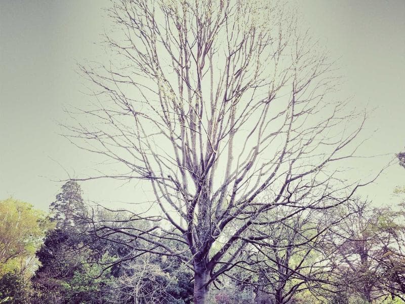 Căn hộ 85m² - Modern Luxury - Phòng khách 3